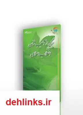 دانلود pdf کتاب برگی از آسیب شناسی انقلاب اسلامی آیت الله محمدرضا نکونام