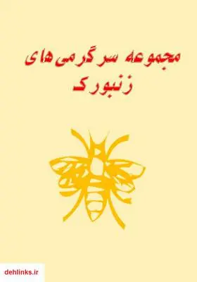 دانلود pdf کتاب مجموعه سرگرمی‌های زنبورک