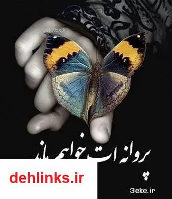 دانلود pdf کتاب شعر پروانه ات خواهم ماند مریم حیدرزاده