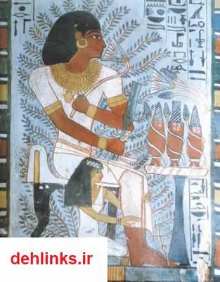 دانلود pdf کتاب باغ سنوفر - از باغ های معروف مصری