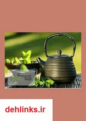 دانلود pdf کتاب شش گیاه دارویی مفید برای لاغر شدن سید مسلم فاطمی مقدم