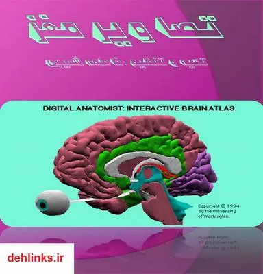 دانلود pdf کتاب تصاویر مغز انسان ( بخش های مختلف با نام گذاری لاتین ) فاطمه شعیبی