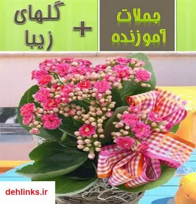 دانلود pdf کتاب گلهای زیبا + جملات آموزنده فاطمه شعیبی