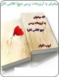دانلود pdf کتاب  اگه می خوای به آرزوهات برسی هیچ تلاشی نکن!  ایوب نکوفر رایگان