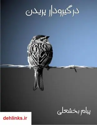 دانلود pdf کتاب در گیرودار پریدن پیام بخشعلی