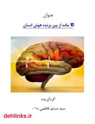 دانلود pdf کتاب 10 ماده از بین برنده هوش انسان سید مسلم فاطمی مقدم