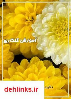 دانلود pdf کتاب آموزش گلکاری حسن صالحی