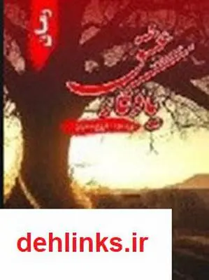 دانلود pdf کتاب یادگار عشق فروغ حاجیان