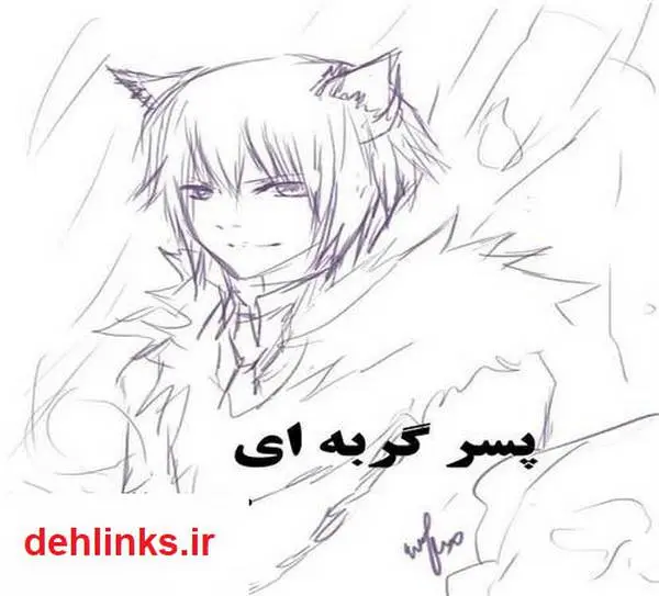 دانلود pdf کتاب پسر گربه ای مجتبی ورشاوی