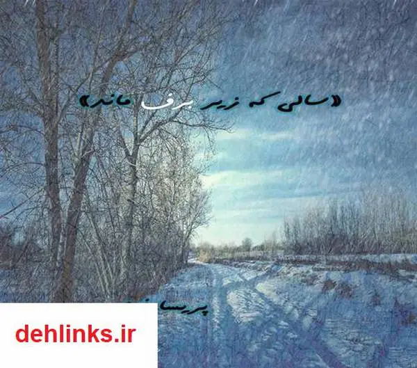 دانلود pdf کتاب سالی که زیر برف ماند پریسا فوجی