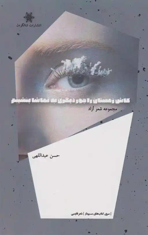 دانلود pdf کتاب کاش زمستان را جوری دیگر به تماشا بنشینم حسن عبداللهی