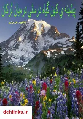 دانلود pdf کتاب پیشینه کهن گیاه درمانی در میان ترکان شاهپور نوروزی