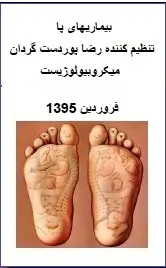 دانلود pdf کتاب  بیماری های پا  رضا پور دست گردان رایگان