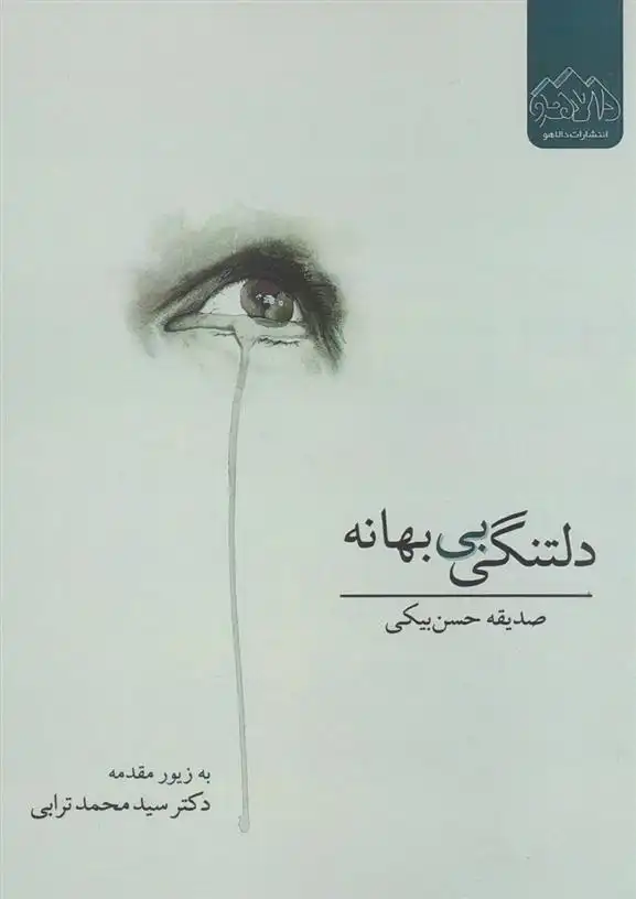 دانلود pdf کتاب دلتنگی بی بهانه صدیقه حسن بیکی
