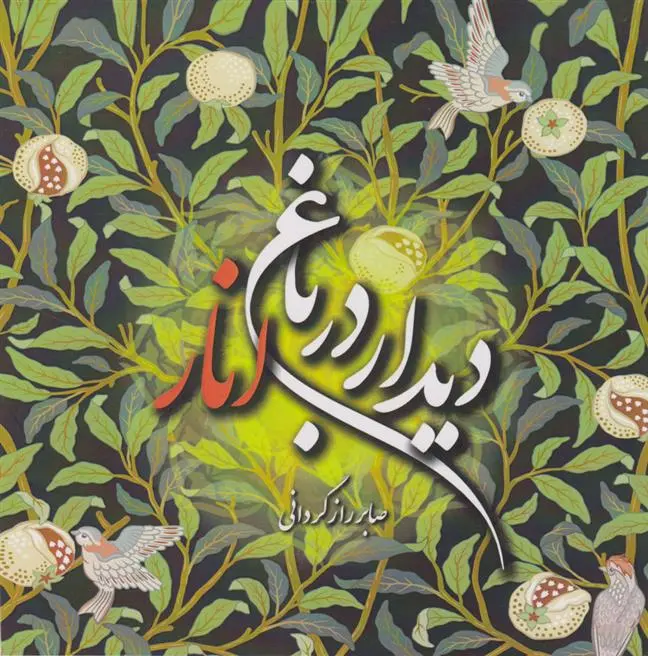 دانلود pdf کتاب دیدار در باغ انار صابر رازگردانی