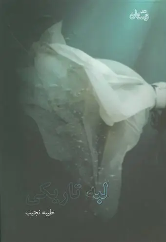 خرید و قیمت کتاب لبه تاریکی اثر طیبه نجیب