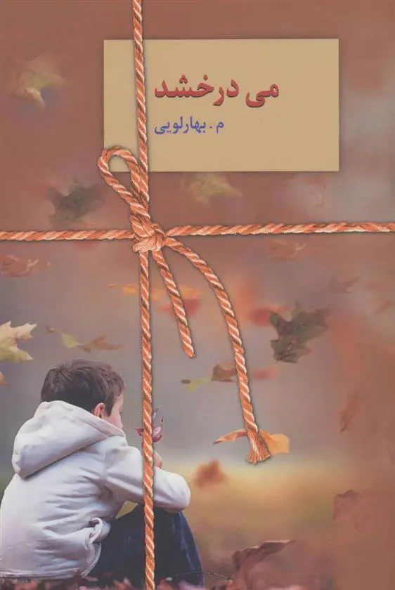 دانلود pdf کتاب می درخشد معصومه بهارلویی