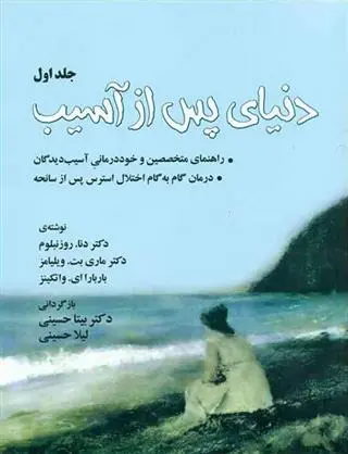 دانلود pdf کتاب دنیای پس از آسیب (جلد 1) 