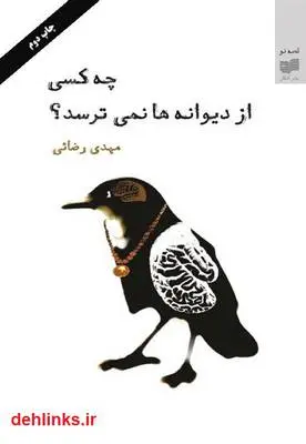 دانلود pdf کتاب رمان چه کسی از دیوانه ها نمی ترسد؟ مهدی رضایی