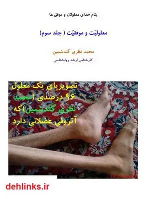 دانلود pdf کتاب معلولیت و موفقیت - جلد سوم محمد نظری گندشمین