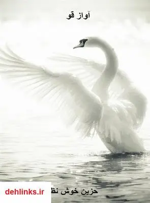 دانلود pdf کتاب آواز قو زهرا خوش نظر