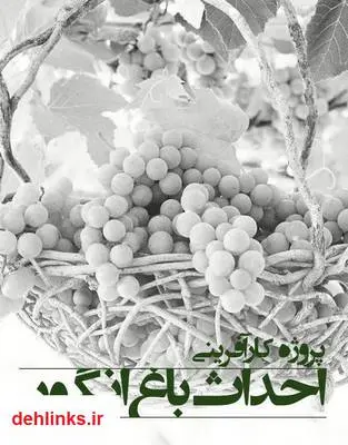 دانلود pdf کتاب پروژه کارآفرینی احداث باغ انگور مسعود ساری