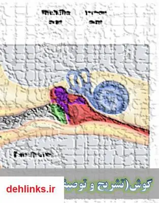 دانلود pdf کتاب تشریح و توصیف گویش محمدامین دلاور خلفی