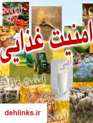 دانلود pdf کتاب آسیب شناسی امنیت غذایی در ایران سیده نرجس طاهری میرانی