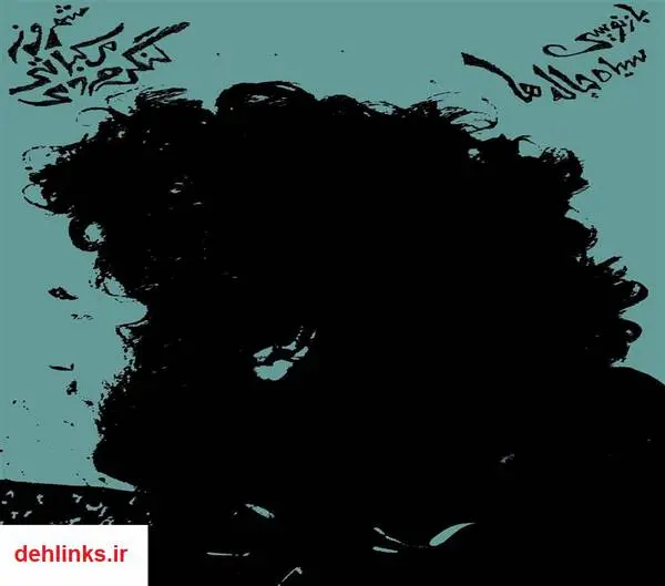 دانلود pdf کتاب بازنویسی سیاه چاله ها شهروز مرکباتی لنگرودی