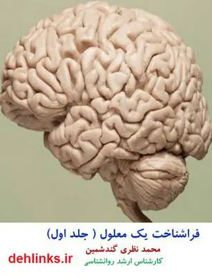 دانلود pdf کتاب فراشناخت یک معلول - جلد اول محمد نظری گندشمین