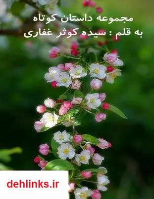 دانلود pdf کتاب مجموعه داستان کوتاه سیده کوثر غفاری