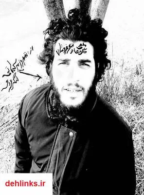 دانلود pdf کتاب ماهی گردی در شعر فروشان شهروز مرکباتی لنگرودی