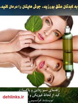 دانلود pdf کتاب به کبدتان عشق بورزید، جوش هایتان را درمان کنید فرانسیس کر