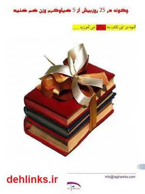 دانلود pdf کتاب چگونه در 25 روز بیش از 5 کیلوگرم وزن کم کنید سجاد خواجه