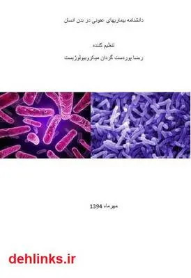 دانلود pdf کتاب دانشنامه بیماری های عفونی در بدن انسان رضا پوردستگردان