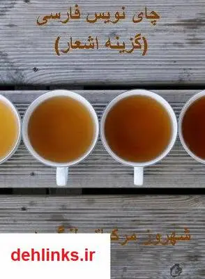 دانلود pdf کتاب چای نویس فارسی شهروز مرکباتی لنگرودی