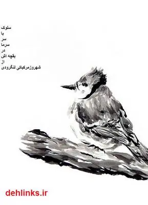 دانلود pdf کتاب سلوک با سر سرما در بقچه اش شهروز مرکباتی لنگرودی