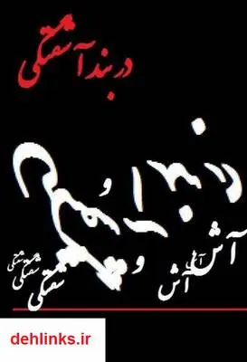 دانلود pdf کتاب در بند آشفتگی دانیال غلامرضائی