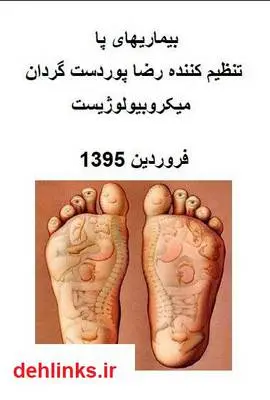 دانلود pdf کتاب بیماری های پا رضا پوردستگردان