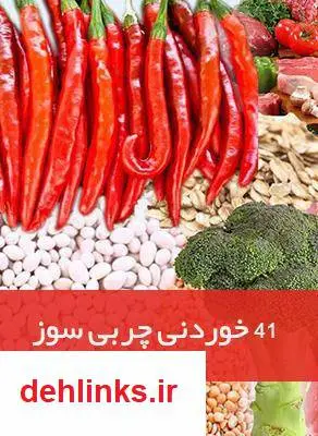 دانلود pdf کتاب 41 خوردنی چربی سوز