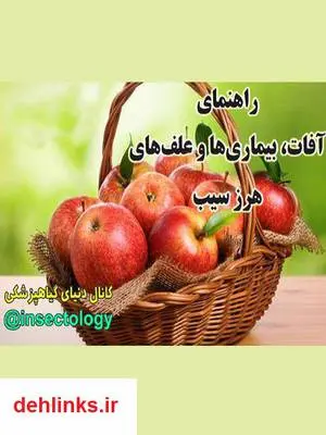 دانلود pdf کتاب آفات و بیماری های سیب