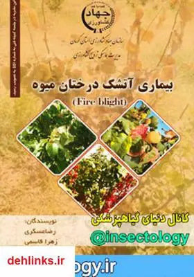 دانلود pdf کتاب بیماری آتشک در درختان میوه جهاد کشاورزی