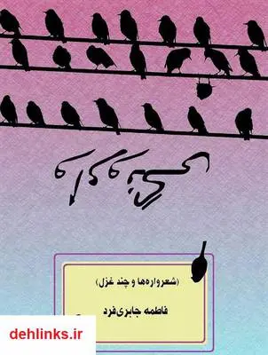 دانلود pdf کتاب وارونگی فاطمه جابری فرد