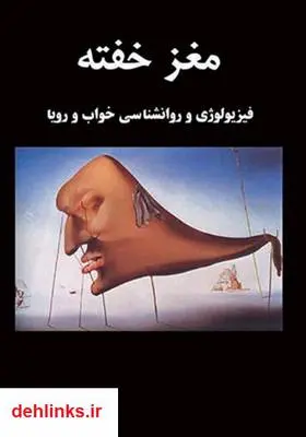 دانلود pdf کتاب مغز خفته شروین وکیلی