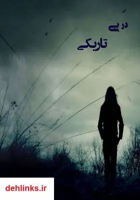 دانلود pdf کتاب رمان در پی تاریکی عرفانه میرزانیا