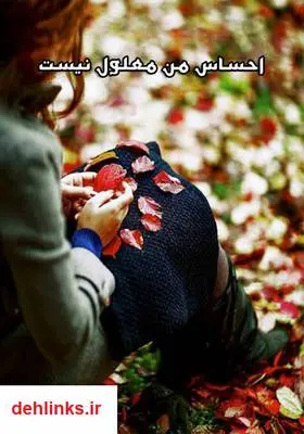 دانلود pdf کتاب رمان احساس من معلول نیست