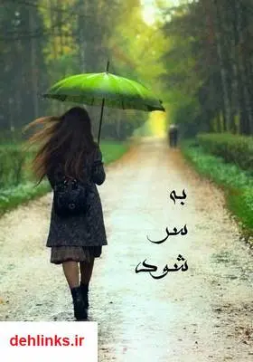 دانلود pdf کتاب رمان به سر شود