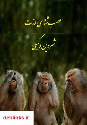 دانلود pdf کتاب عصب‌شناسی لذت شروین وکیلی