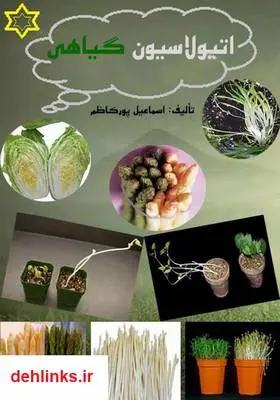 دانلود pdf کتاب اتیولاسیون گیاهی اسماعیل پورکاظم
