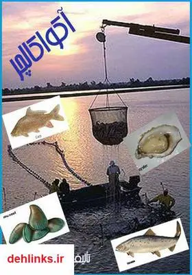 دانلود pdf کتاب آکواکالچر اسماعیل پورکاظم